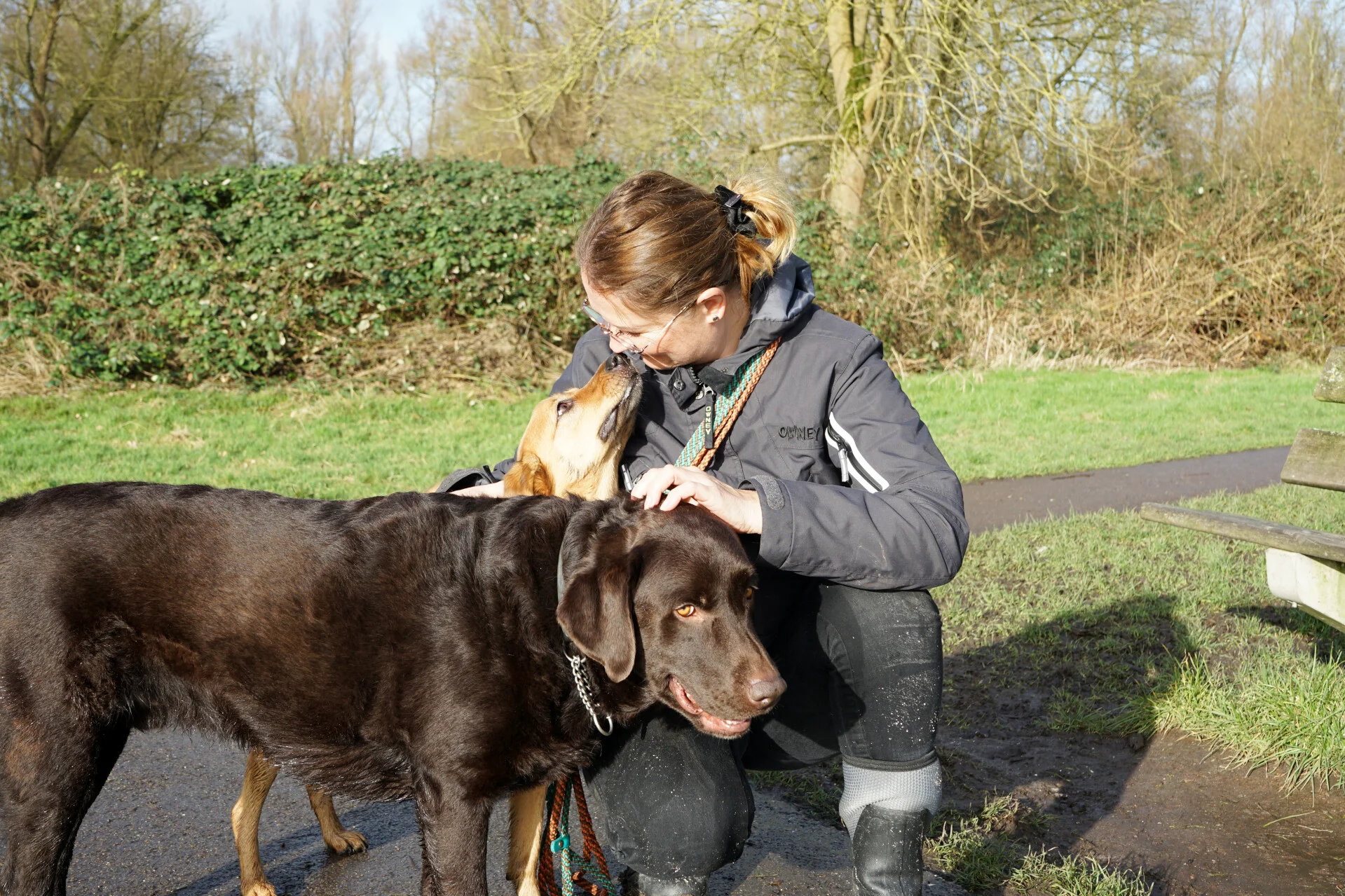 Hond geniet van een wandeling in een losloopgebied